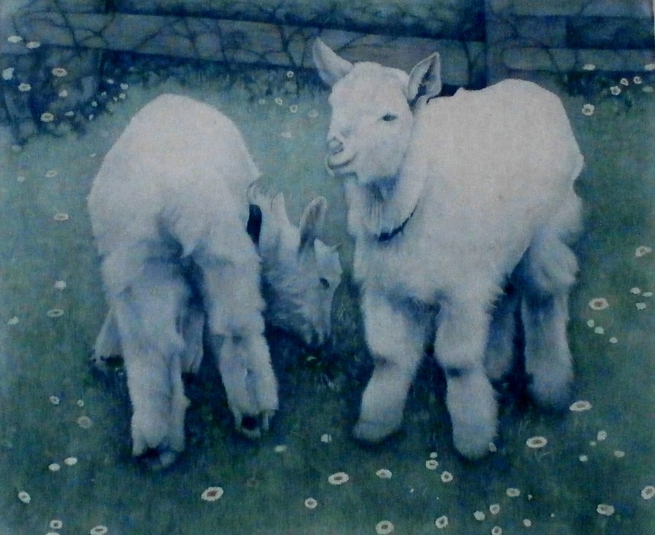 Frans everbag - Ets:  2 geitjes - 1939 kopen? Bied vanaf 145!