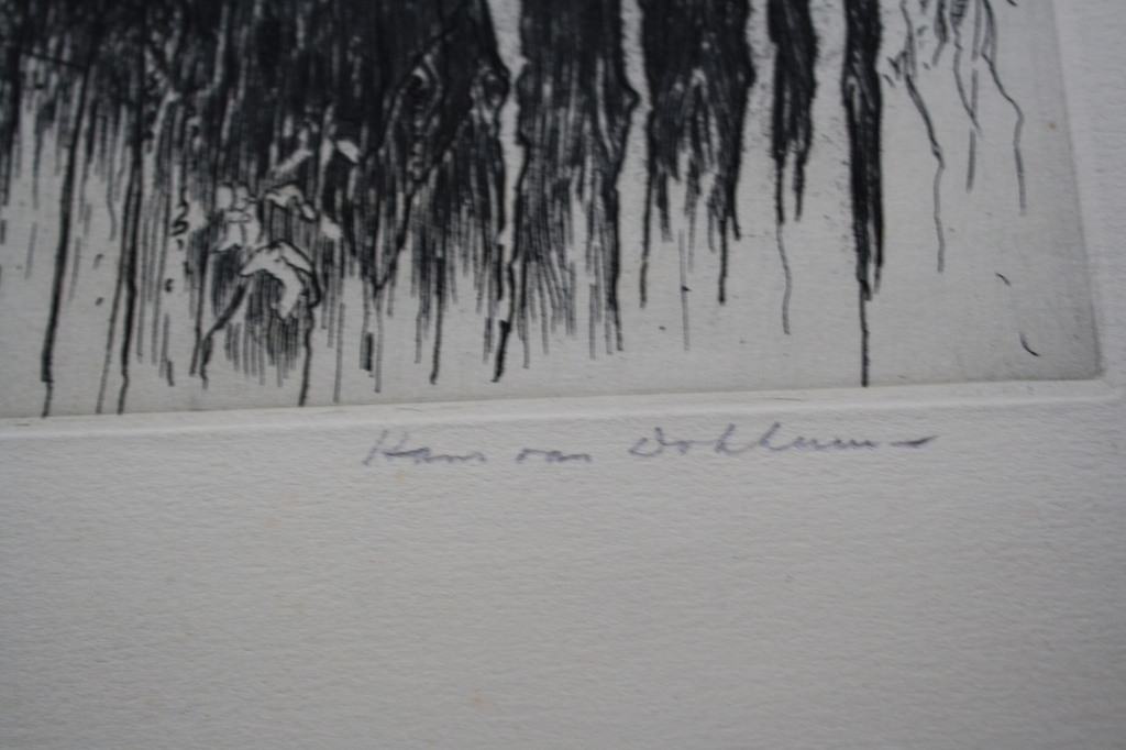 HANS v DOKKUM  - ETS kopen? Bied vanaf 28!