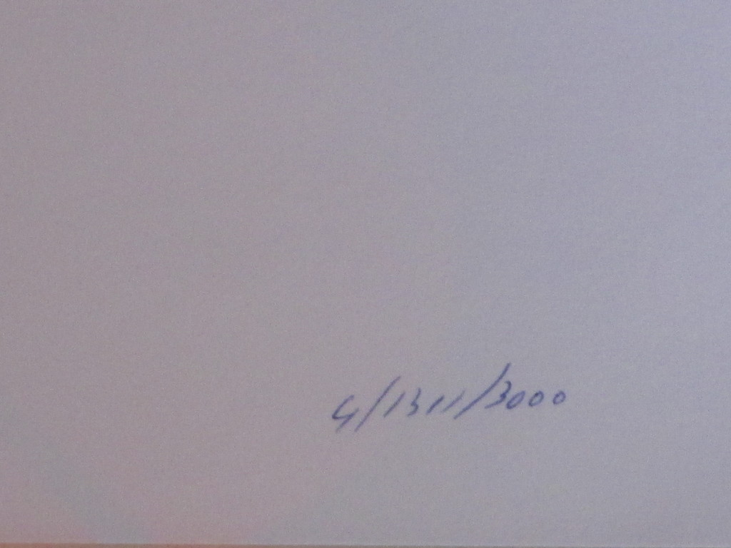 Frank Werner, Zebrapad, Zeefdruk kopen? Bied vanaf 1!