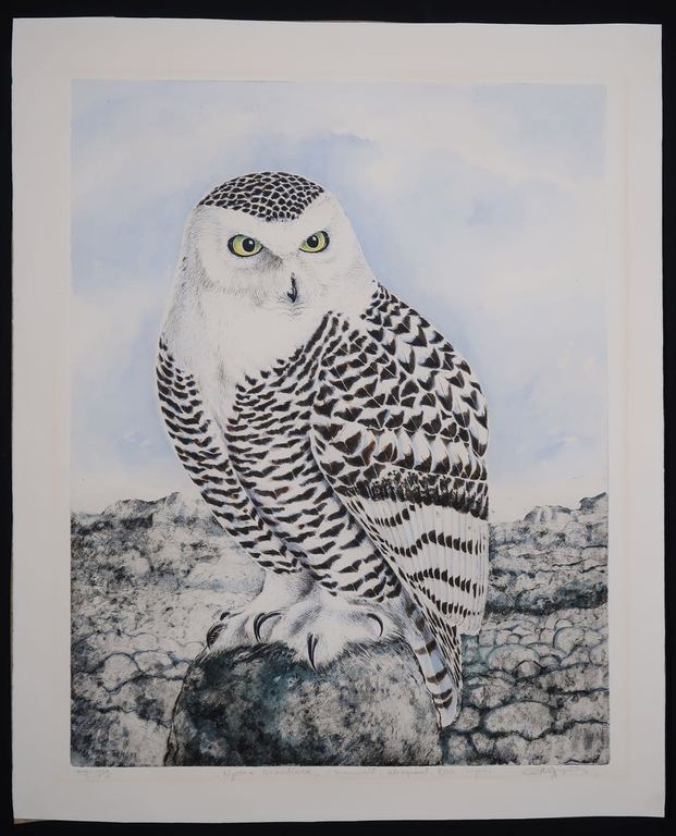 Eric Wijnands: Ets, Sneeuwuil kopen? Bied vanaf 1!