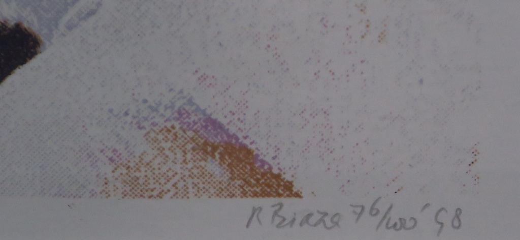 Rob Birza: Zeefdruk, De Anatomieles -Ingelijst kopen? Bied vanaf 60!