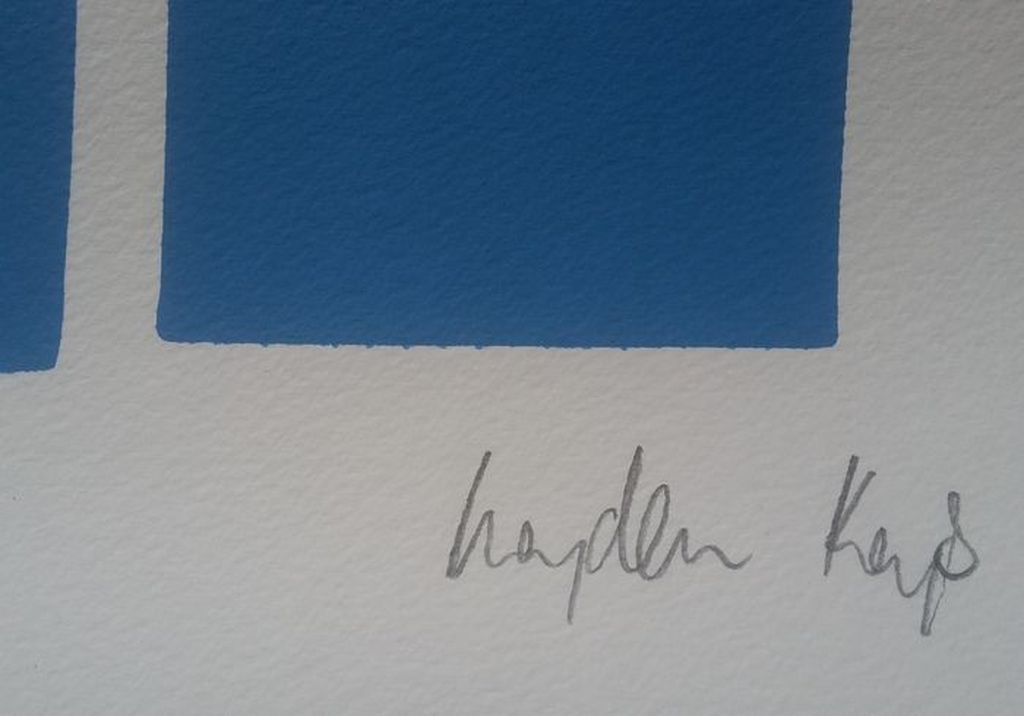 Hayden Kays - Tweeluik - Vote (blue&red edition) - handgesigneerde zeefdruk kopen? Bied vanaf 145!