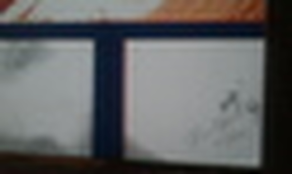 Zwanen kopen? Bied vanaf 15!