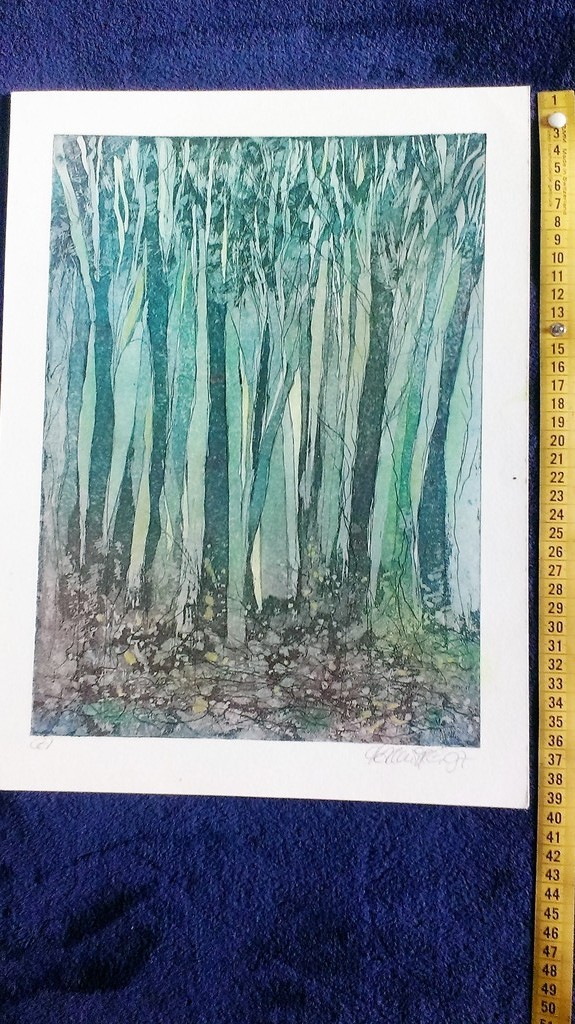 Tamaz Abashidze : kleurets , boslandschap handgesigneerd 97 kopen? Bied vanaf 17!