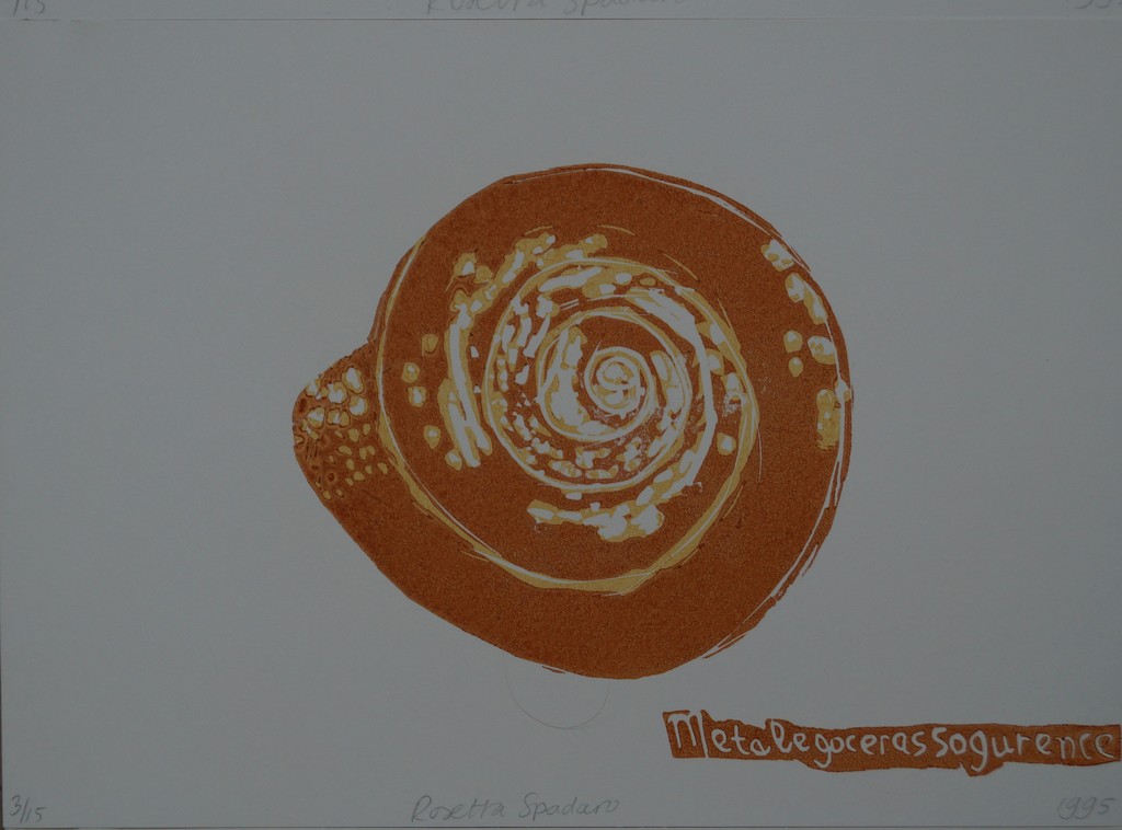 Rosetta Spadaro - serie van 3 gesigneerde linosnedes - ammonieten kopen? Bied vanaf 10!