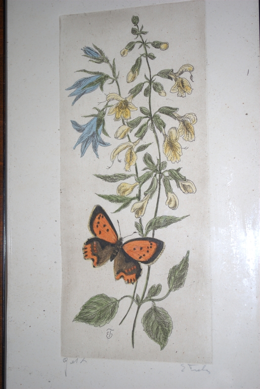 Vlinder en bloemen - gesigneerde kleurets kopen? Bied vanaf 25!