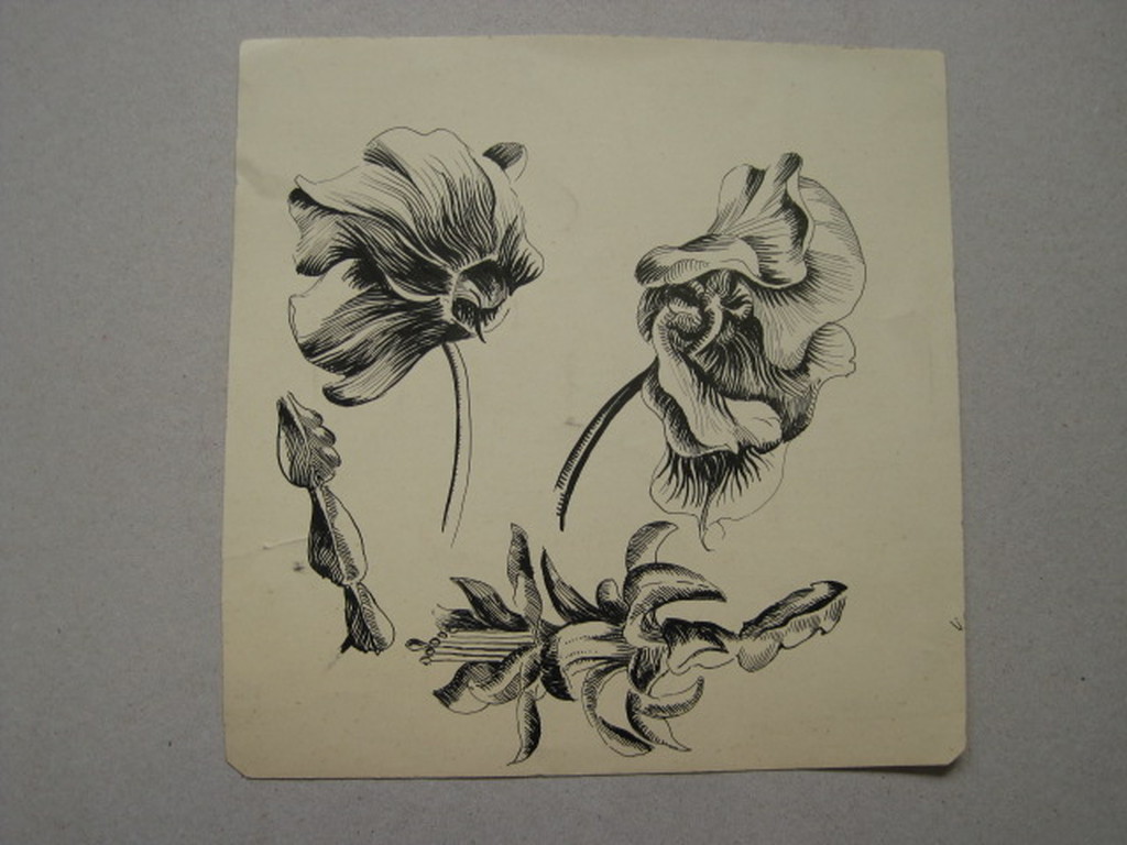 toegeschr. aan Jan Boon 1882-1975 "inkttekening van bloem"  kopen? Bied vanaf 1!