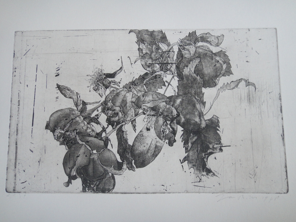 Jan Prins (1956) - (zeldzame) ets - tropische bloemen  verkocht voor € 45!