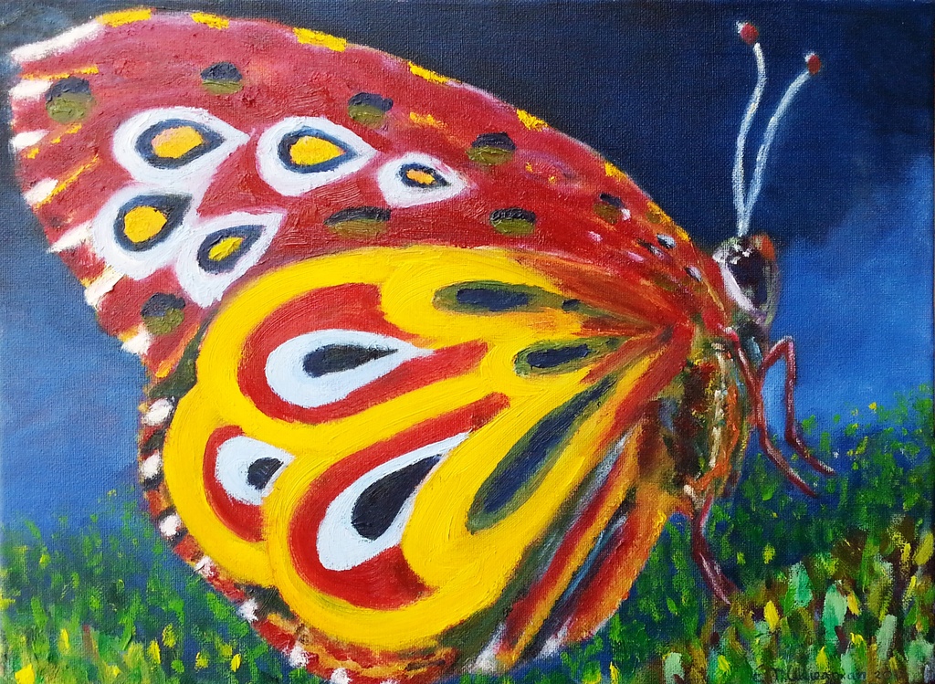 Vlinder kopen? Bied vanaf 150!