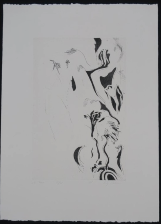 Lily Derksen: Ets, Tuin kopen? Bied vanaf 1!