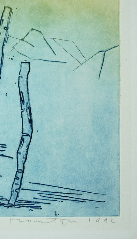 Jan Montyn - Bamboo blue Cambodga, aquatint ets kopen? Bied vanaf 150!
