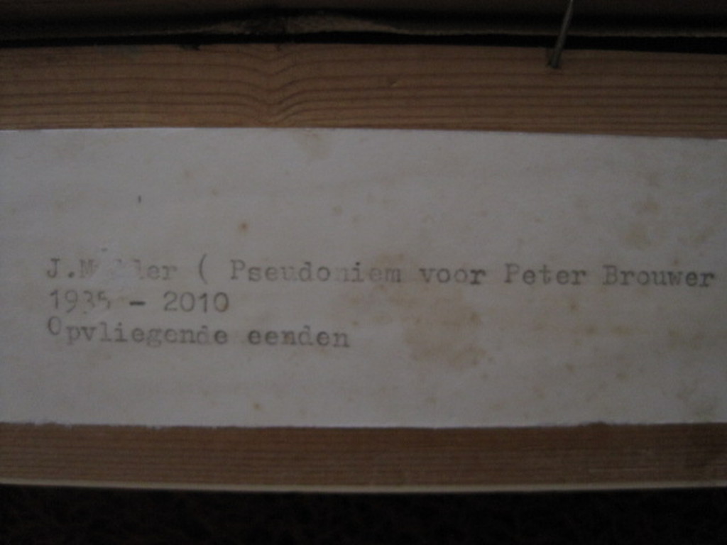 (1235) GROOT olieverf "opvliegende eenden boven plas" van Peter Brouwer 1935 kopen? Bied vanaf 1!