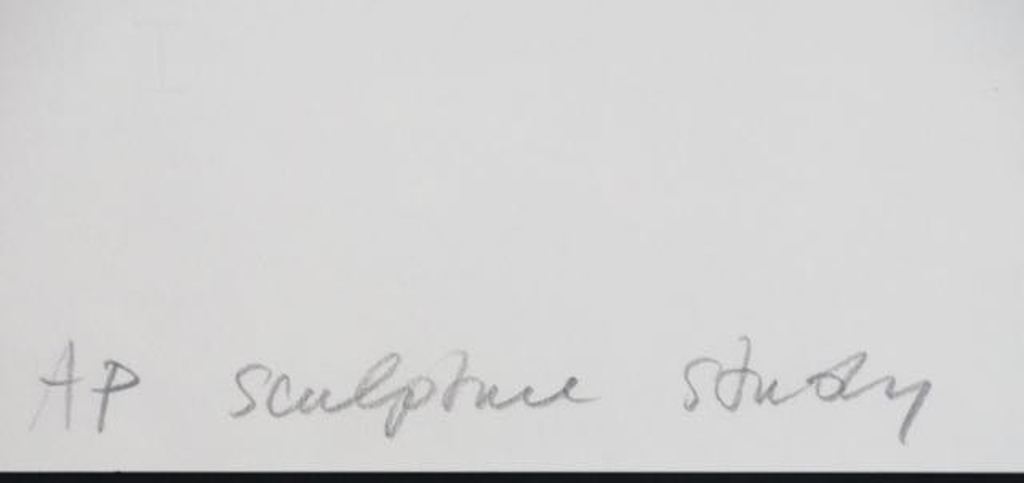 Sjoerd Buisman: Zeefdruk, Sculpture Study kopen? Bied vanaf 70!