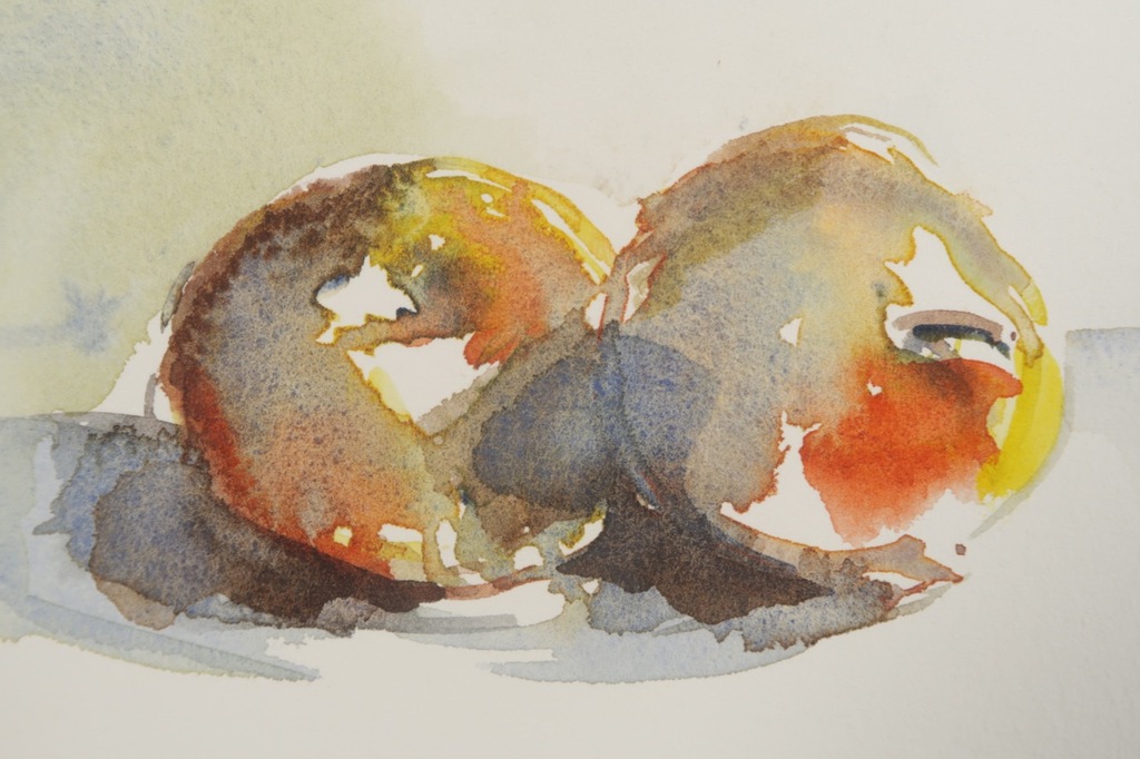 Onbekend gesigneerd: Aquarel, Appels kopen? Bied vanaf 1!