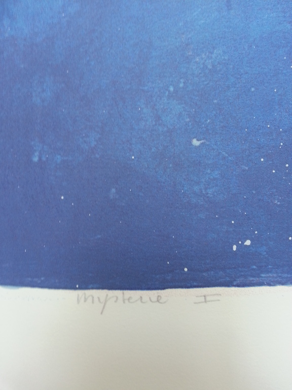 Ron van der werf, zeefdruk met zwelinkt, Mysterie I kopen? Bied vanaf 50!