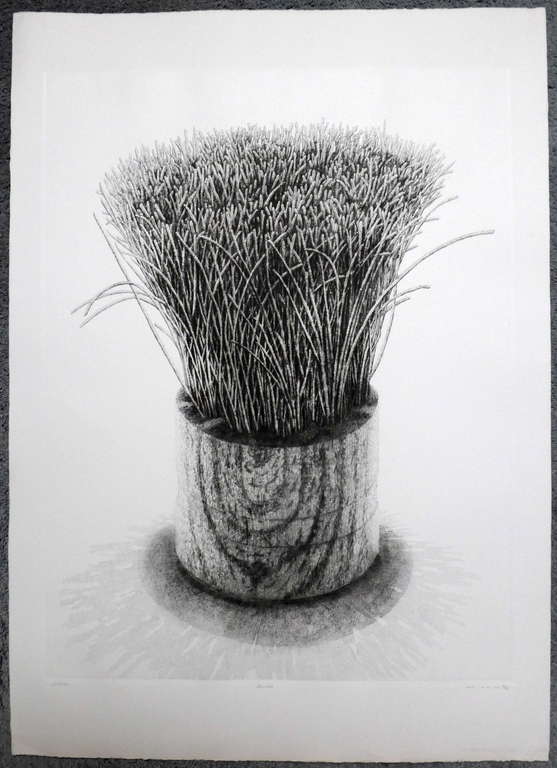 Gerard van Rooy, ets uit 1987 verkocht voor € 75!