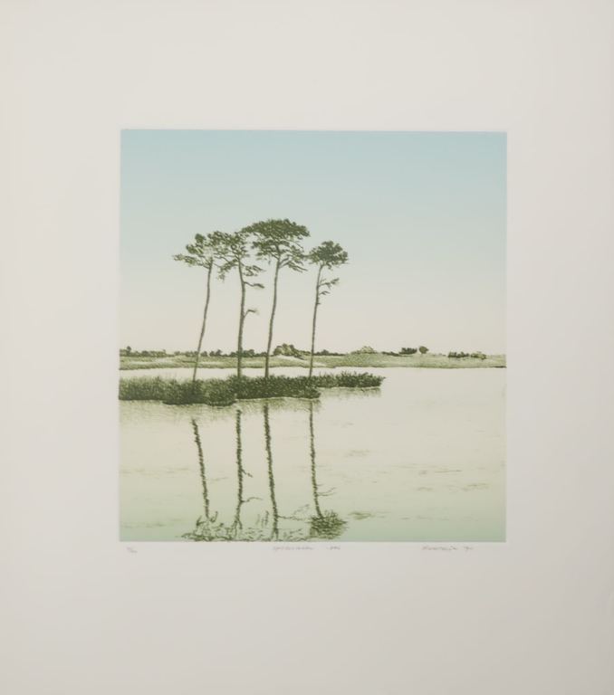 Henk Kastelijn: Zeefdruk, Spiegelingen kopen? Bied vanaf 1!