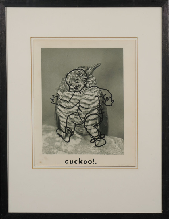 Roland Sips: Stifttekening op afbeelding, Cuckoo - Ingelijst kopen? Bied vanaf 20!