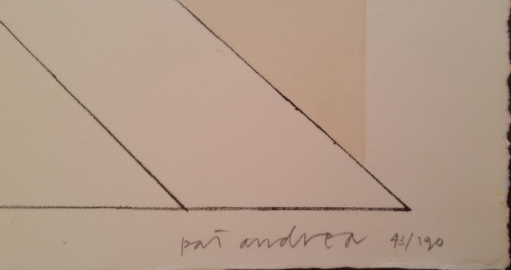 Pat Andrea (1942) - Zomeravondtraining - 1970 kopen? Bied vanaf 75!