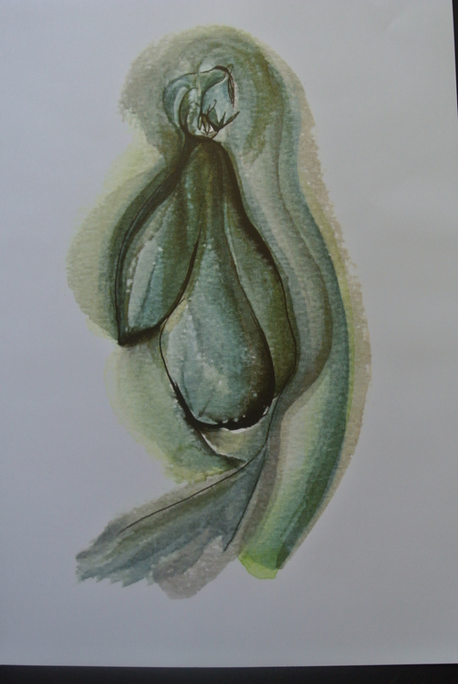 CHRIS van HARSKAMP. -26 prachtige kleurenlitho’s in luxe map- kopen? Bied vanaf 79!