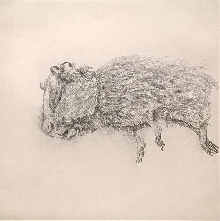 Gerard van Rooy - Leo - gesigneerde ets verkocht voor € 75!