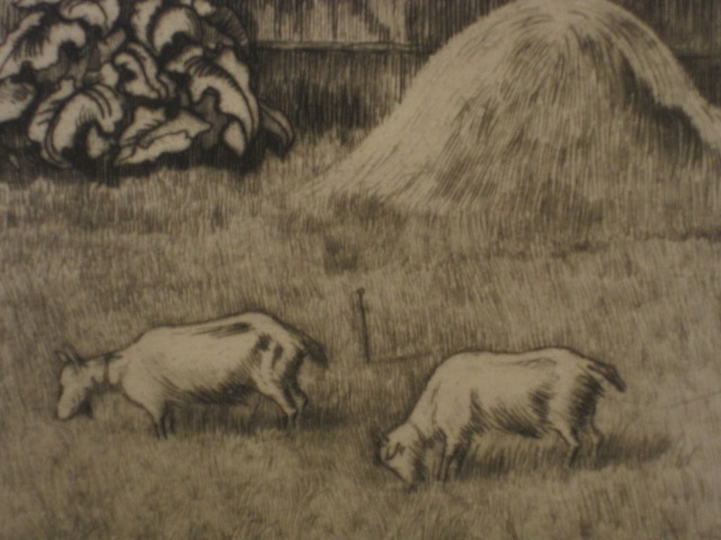 Karakteristieke ets "Geiten bij boerderij in de Achterhoek"van Nico vd Jagt 1888 kopen? Bied vanaf 1!