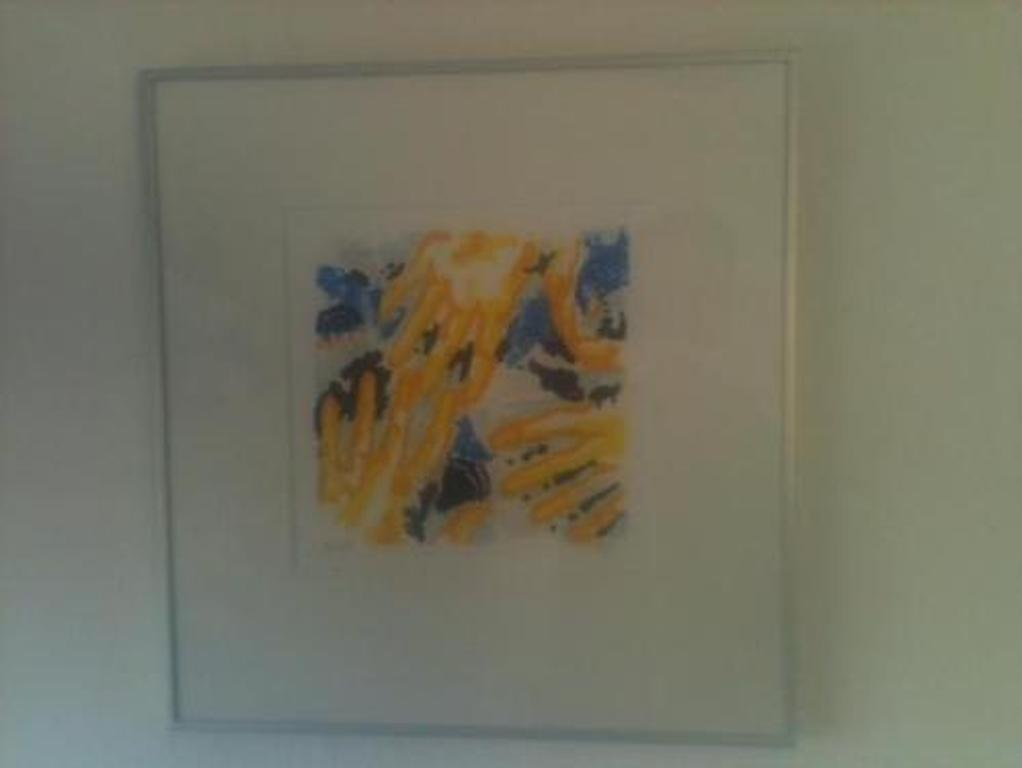 Victor Hasch, kleurrijk en bijzonder zeldzame zeefdruk (handgesigneerd) kopen? Bied vanaf 1!