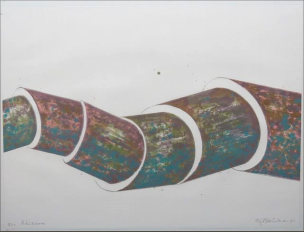 Sjoerd Buisman: Litho, Rhizome verkocht voor € 40!