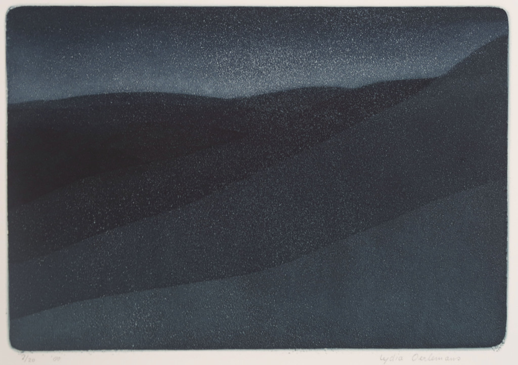 Lydia Oerlemans: Ets en aquatint, Zonder titel kopen? Bied vanaf 40!