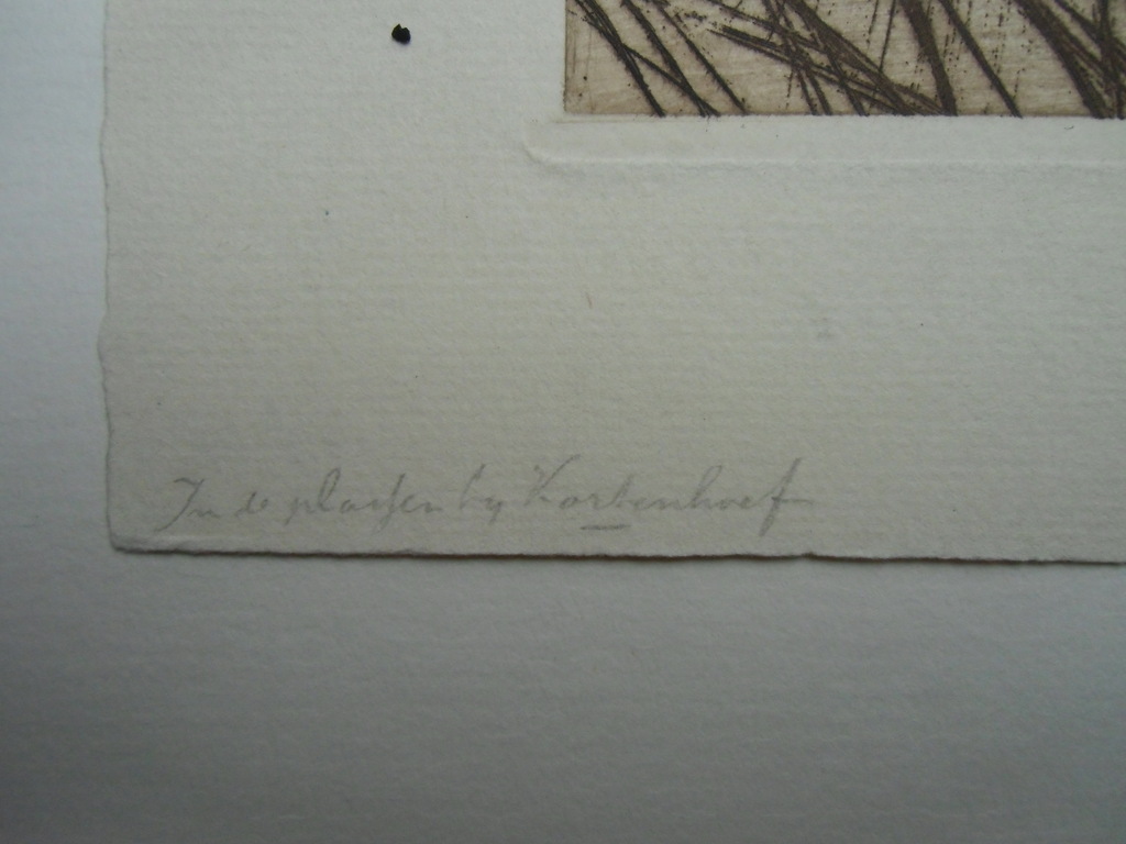 IN DE PLASSEN BIJ KORTENHOEF  ///  ETS VAN MAURITS VAN DER VALK kopen? Bied vanaf 30!