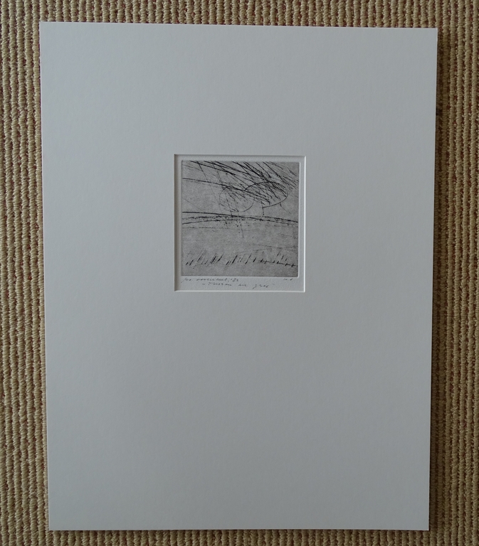 Ko Oosterkerk, Tussen het gras, ets,1983 kopen? Bied vanaf 1!