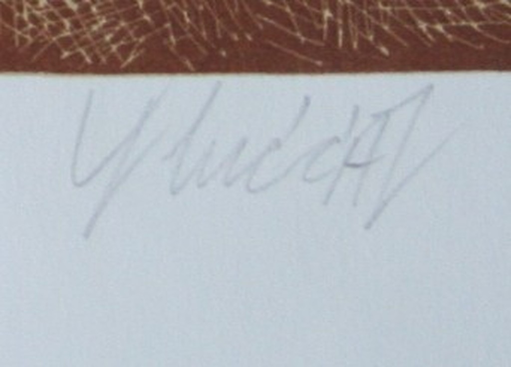 Yargo de Lucca - zeefdruk - gesigneerd - genummerd kopen? Bied vanaf 45!