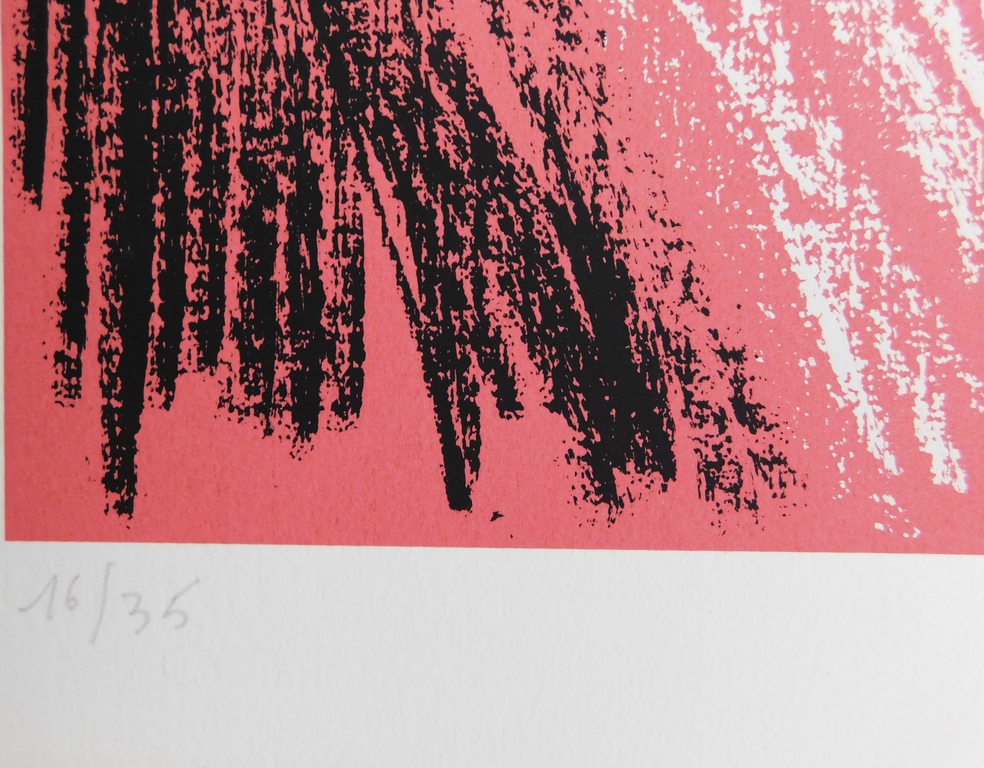 Dees de Bruyne - Kleurenlitho - Homme rouge kopen? Bied vanaf 75!