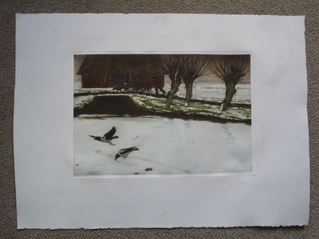 Tjeerd Bottema - kleurenets - Eksters op het ijs kopen? Bied vanaf 100!