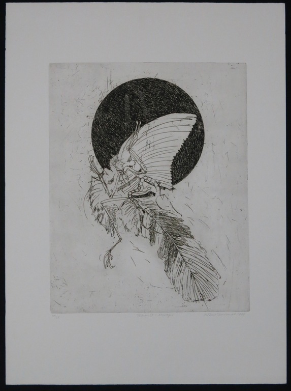 Robert Terwindt: Ets, Icarus VI Oervogel kopen? Bied vanaf 20!