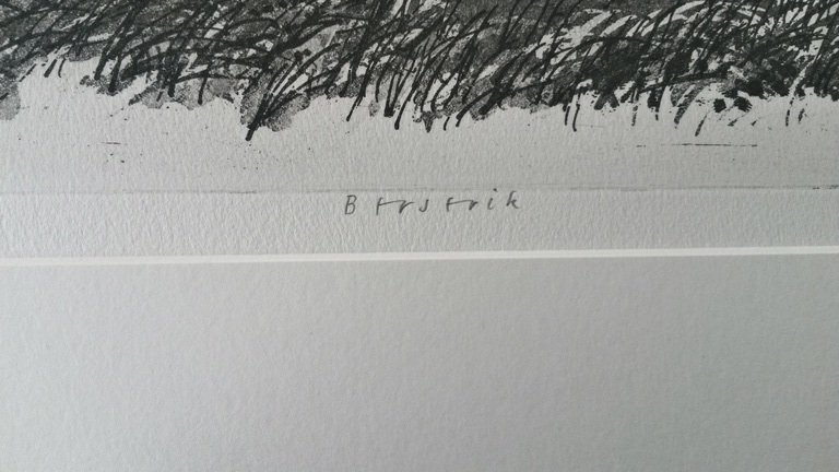 Hermanus Berserik - ets/aquatint - Kanaal van Voorne (en Putten) kopen? Bied vanaf 60!