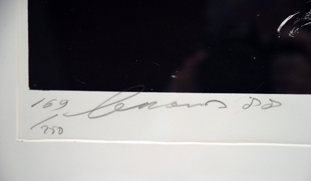 EUGENE BRANDS  ' The Grapes '  , Kleurenlitho, 1988  Nummer 169/250 - in lijst kopen? Bied vanaf 245!