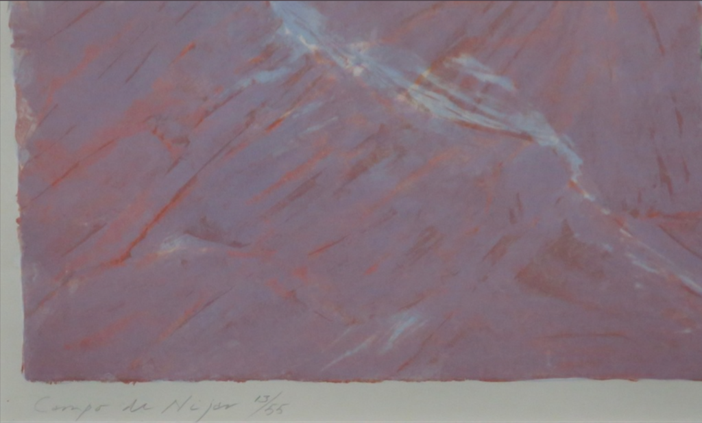 Jan Hein van Rooy: Litho, Campo di Nijar kopen? Bied vanaf 1!