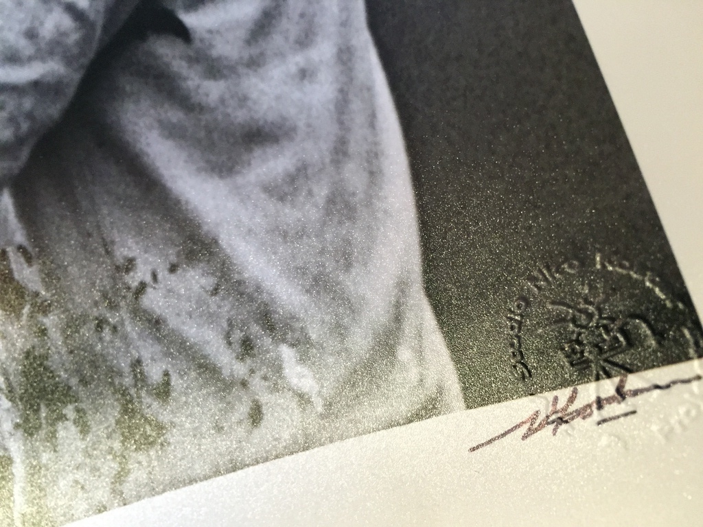 NICO KOSTER de CoBrA Fotograaf  KAREL APPEL kopen? Bied vanaf 1!