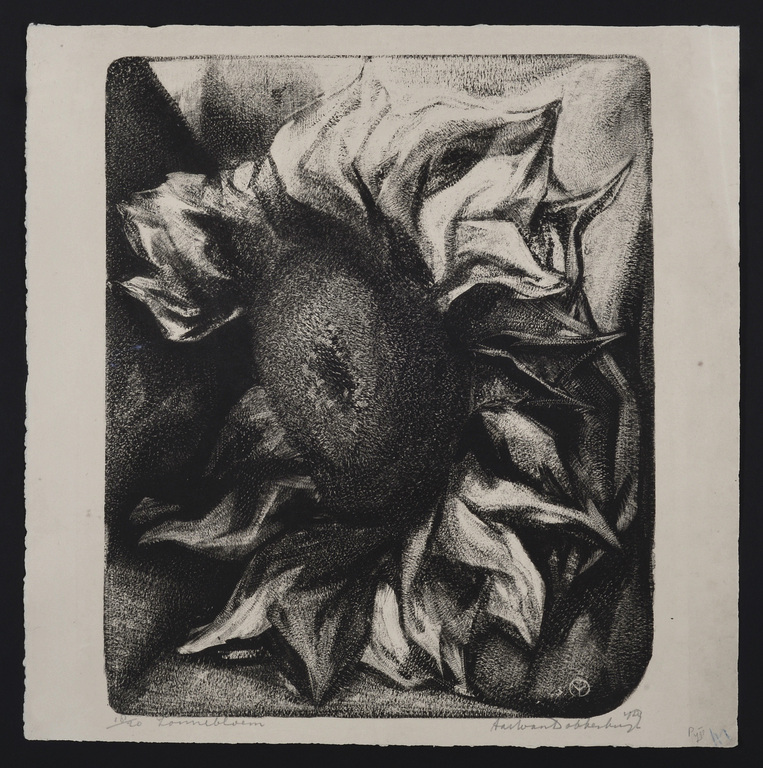 Aart van Dobbenburgh: Litho - Zonnebloem - 1923 kopen? Bied vanaf 45!