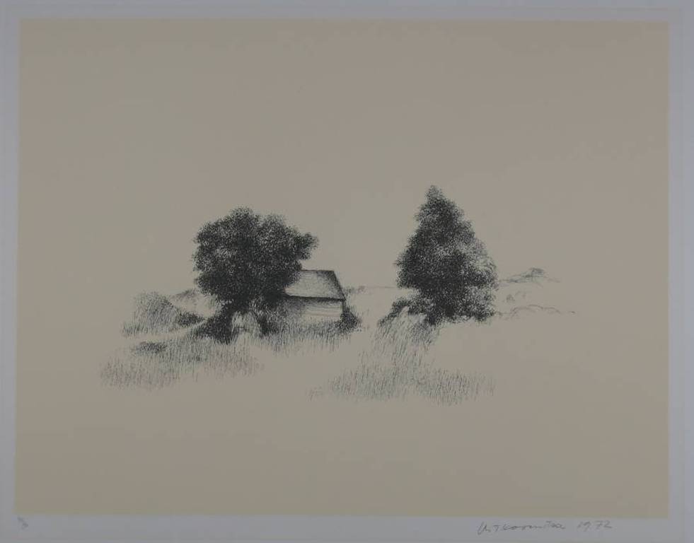 Metten Koornstra: Litho, Landschap met huis kopen? Bied vanaf 1!