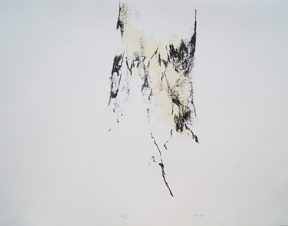 Armando litho 'Der Baum' - 1988 verkocht voor € 250!