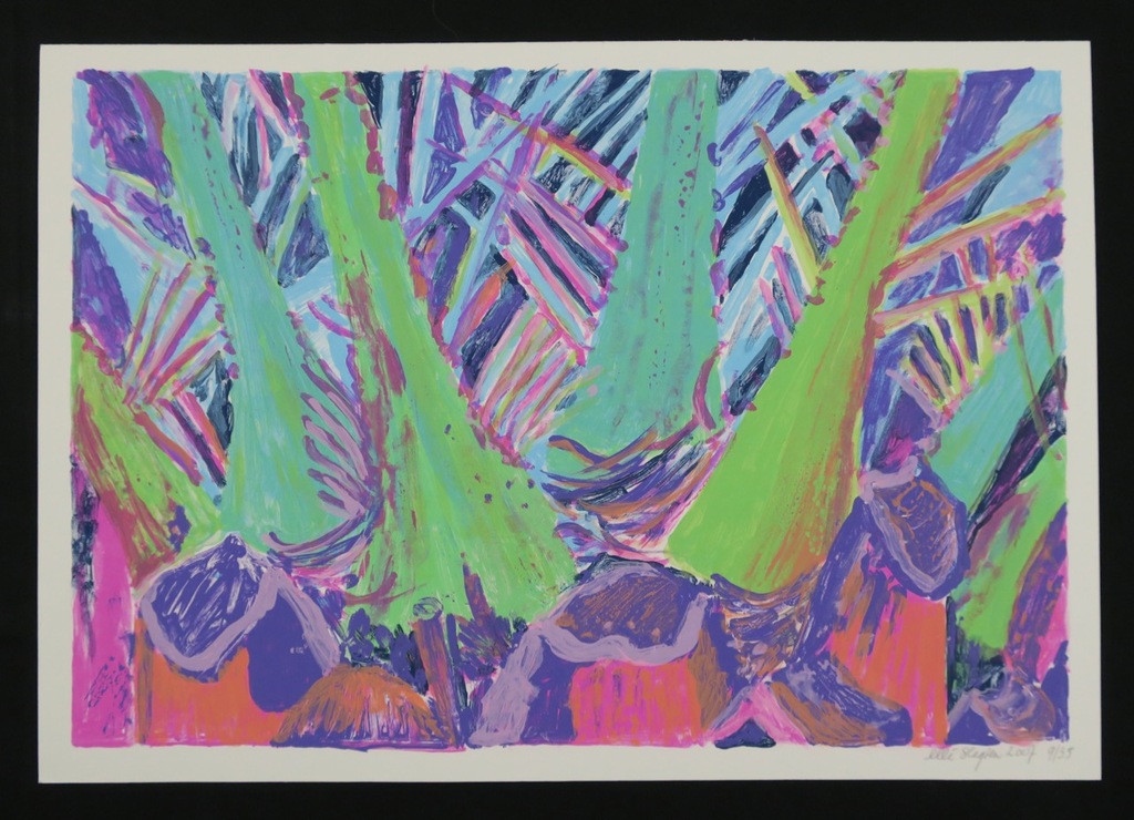 Lot met 3 werken: o.a. Rieneke Boonman, Litho, Z.T. kopen? Bied vanaf 1!