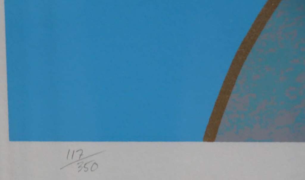 Razzia: Zeefdruk, Vrouw met zonnebril - Ingelijst (Groot) kopen? Bied vanaf 70!