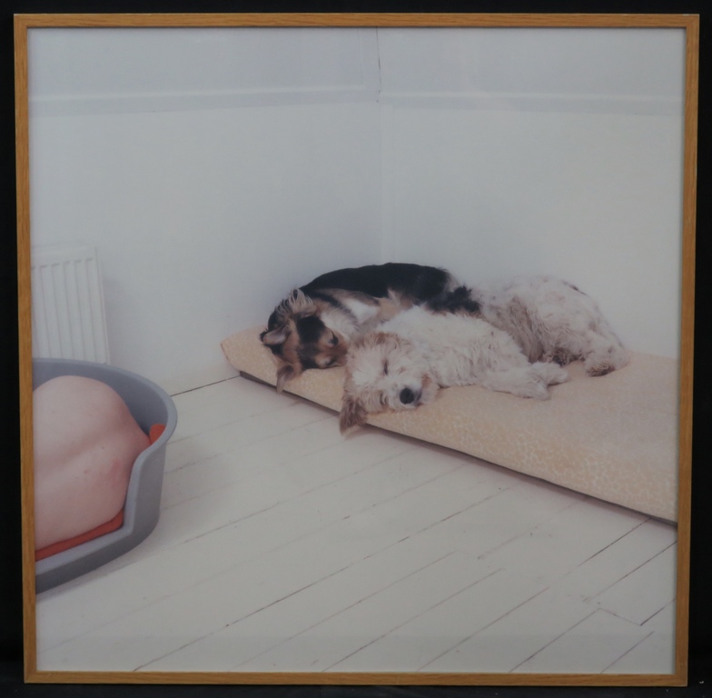 Maarten Wetsema: Foto, Zelfportret met Honden -Ingelijst verkocht voor € 35!