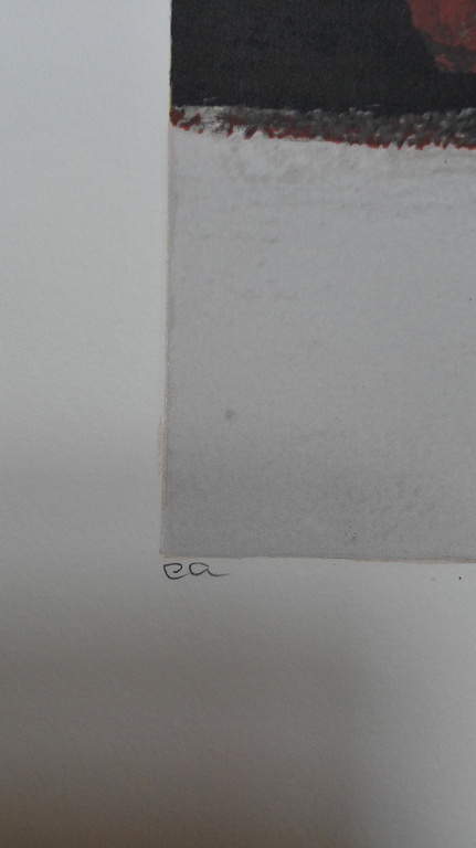 Ron van der Werf, zeefdruk op papier, Titel: Terra II kopen? Bied vanaf 40!