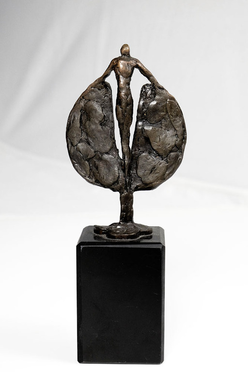 Bronzen beeldje van figuur met vleugels - krachtige uitstraling - met signatuur kopen? Bied vanaf 75!