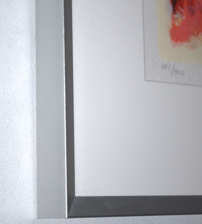 Perfect ingelijste zeefdruk IN NIEUWSTAAT kopen? Bied vanaf 35!