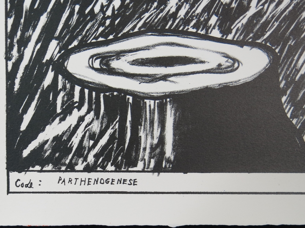 Hannes Postma: Litho, Parthendgenese kopen? Bied vanaf 35!