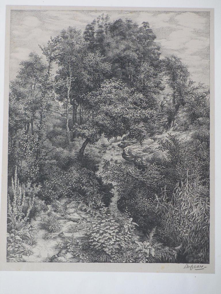 Dirk van Gelder, Bos met stroompje en vegetatie, Litho verkocht voor € 55!
